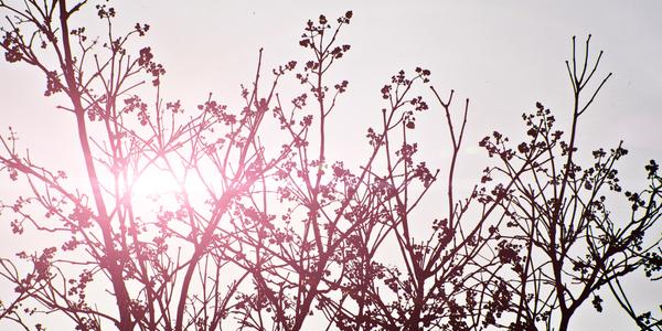 header_wir_ueber_uns